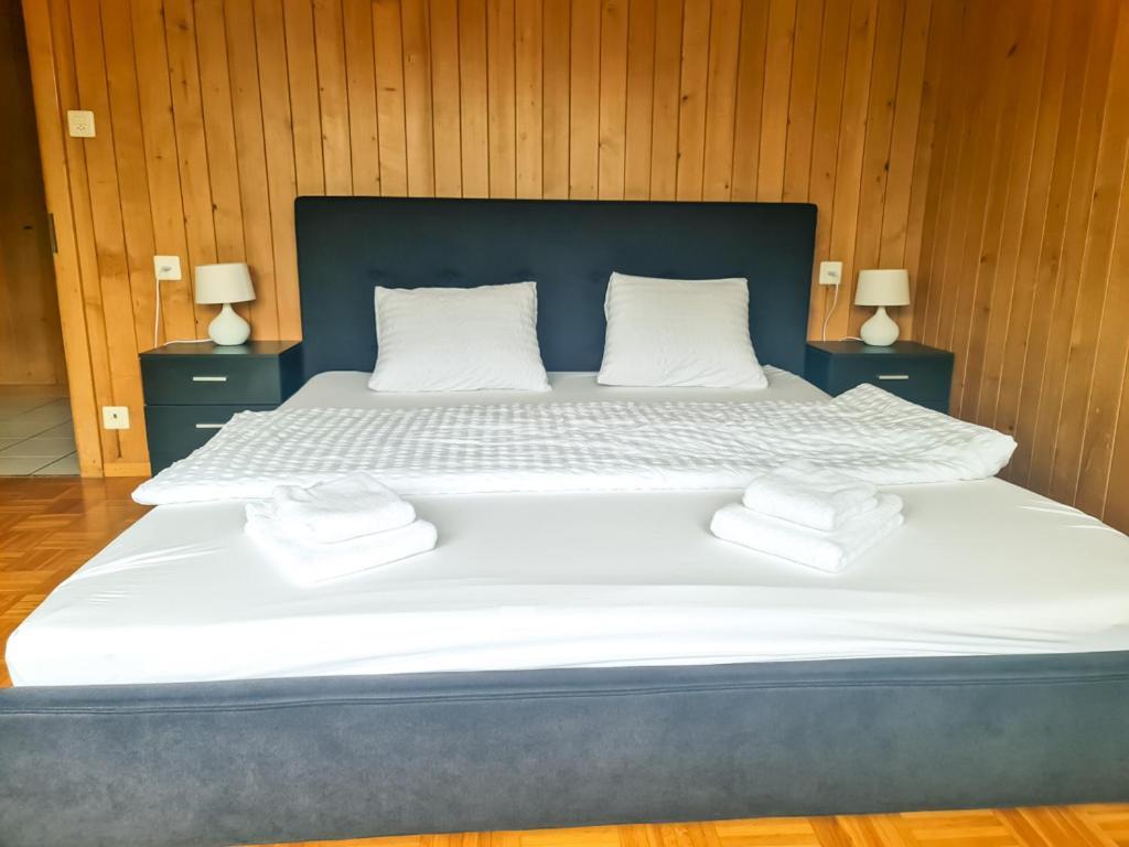 Abendberg Apartment - Aare Jungfrau Ag Вильдерсвиль Экстерьер фото